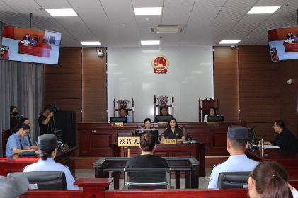 兴平法院：  公开开庭审理一起拒不执行判决、裁定罪案件