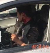 两车相撞“霸道”村支书砸车打人 已免职并开除党籍